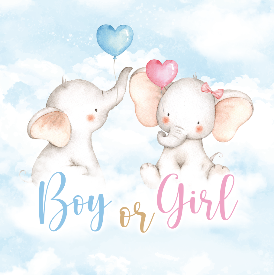 Baby Elephant Gender Reveal