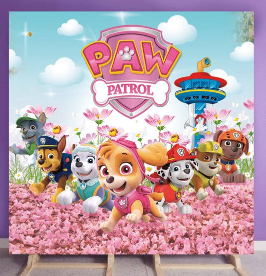 Paw patrol girl