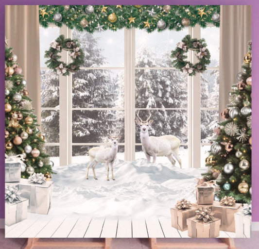 Photographic Christmas