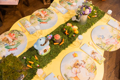 Combo Elastic placemat + napking