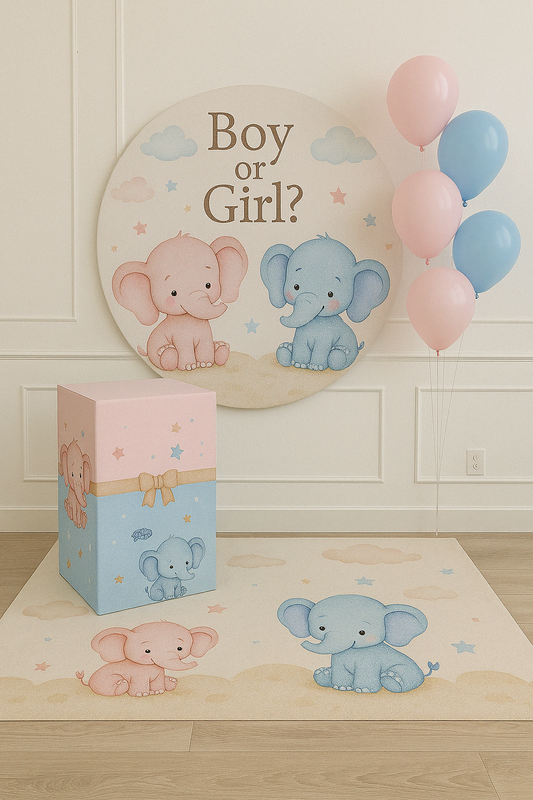 Baby  Gender Reveal