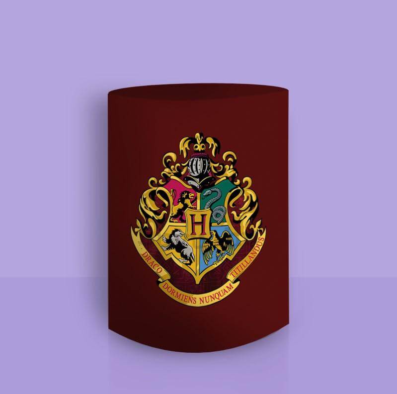 Harry Potter Shield