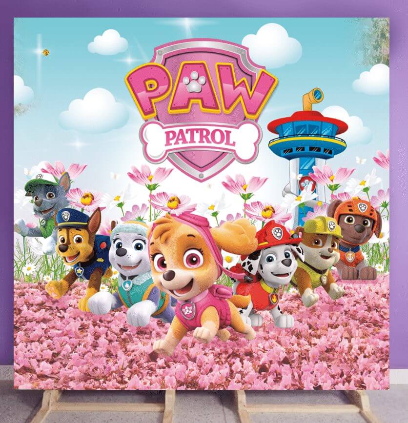 Paw patrol girl
