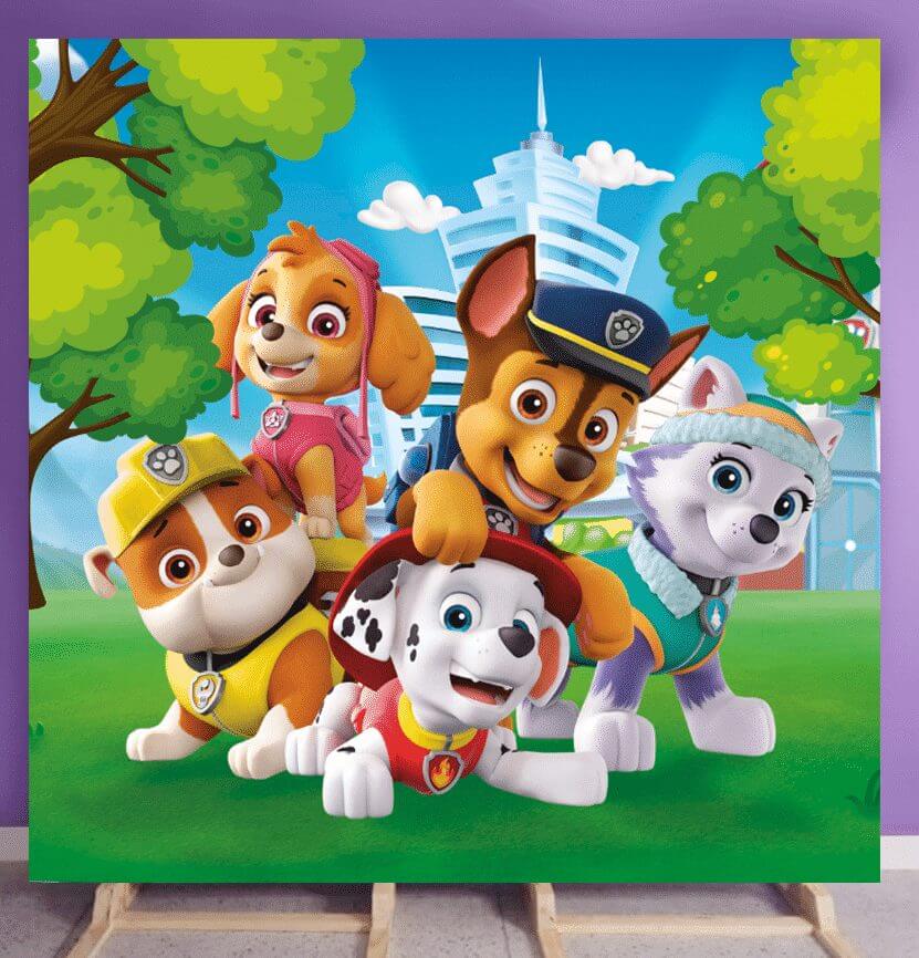 mixed paw patrol